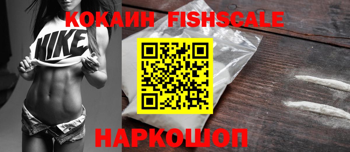 Cocaine  Вход с VPN  Новозыбков  Кокаин Fish Scale  COCAIN 97% 