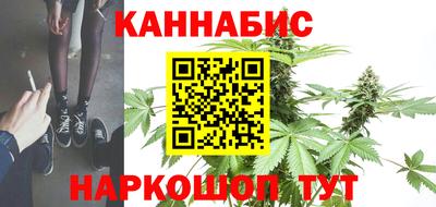 сатива Сланцы