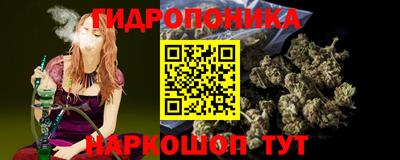 сатива Сланцы